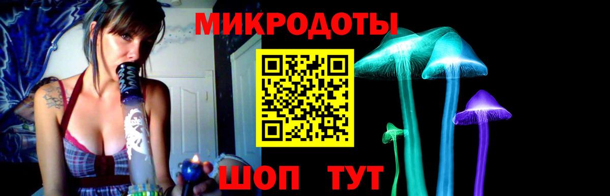 Псилоцибиновые грибы Cubensis Ревда